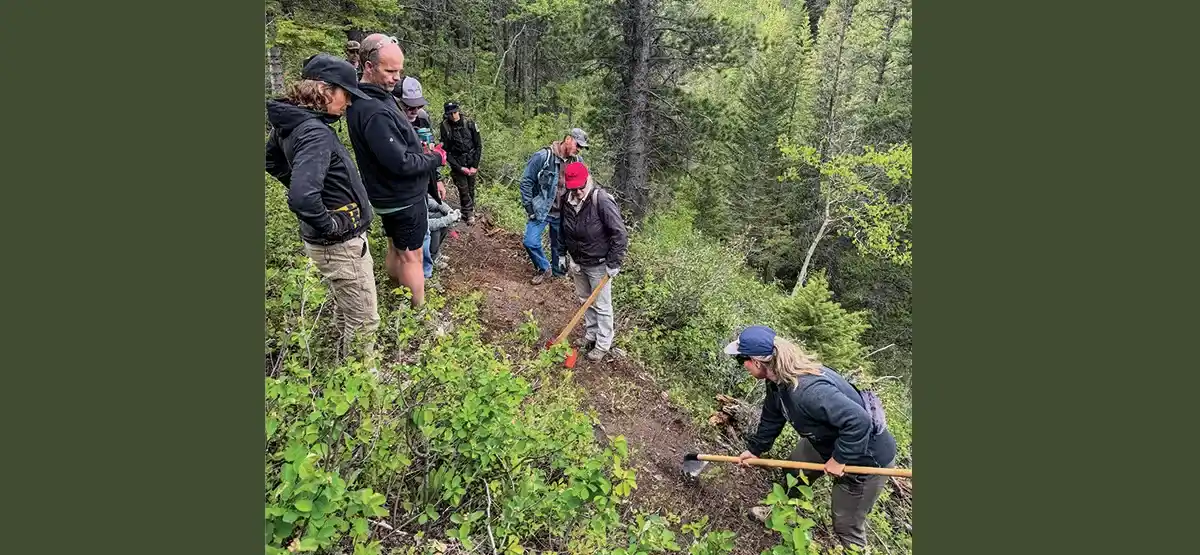 A group of people in outdoor clothing use tools to work on a forest trail, surrounded by green foliage and trees. Some are digging while others observe or stand nearby.